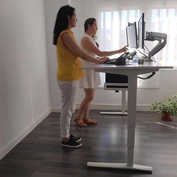 Producto Mesa elevable color plata altura máx.125 cm, soporta 100 Kg en la categoría Muebles ergonómicos rebajados en Alfombras Website