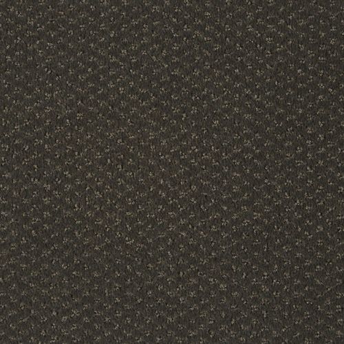 Producto Carve moqueta clásica Alta Gama corre pasillos para Hoteles en la categoría Moquetas en Alfombras Website