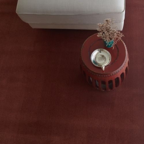 Producto Amore Moqueta Premium pelo brillante alta comodidad hoteles en la categoría Moquetas en Alfombras Website